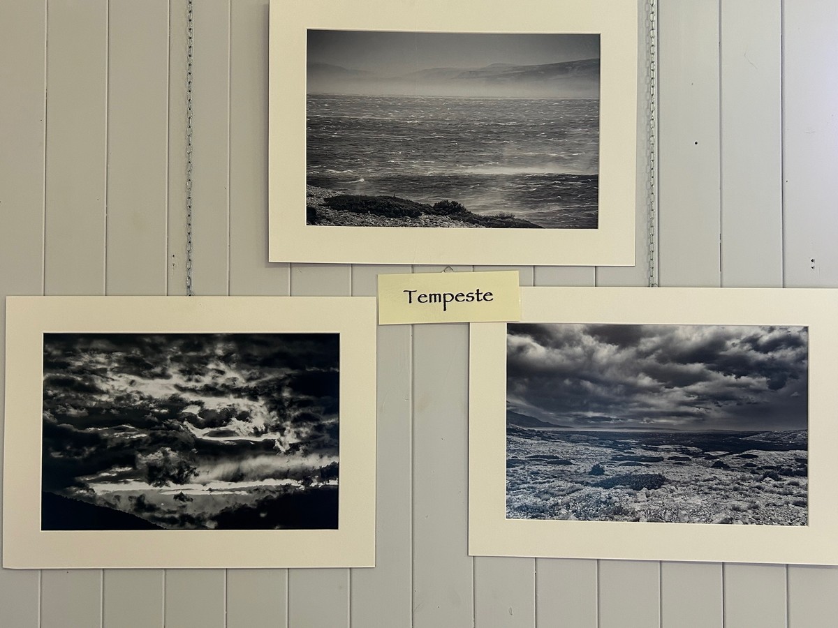 Guardabosone, due mostre e una piazza ritrovata: l’arte di Raffaella Lanza e Roberto Cerri inaugura il nuovo belvedere di San Giovanni XXIII