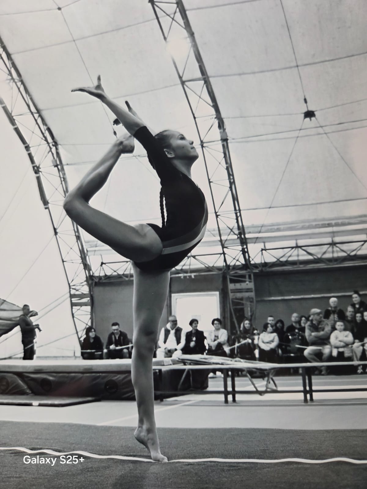 Ginnastica Sprint di Cavaglià ancora sul podio FOTO