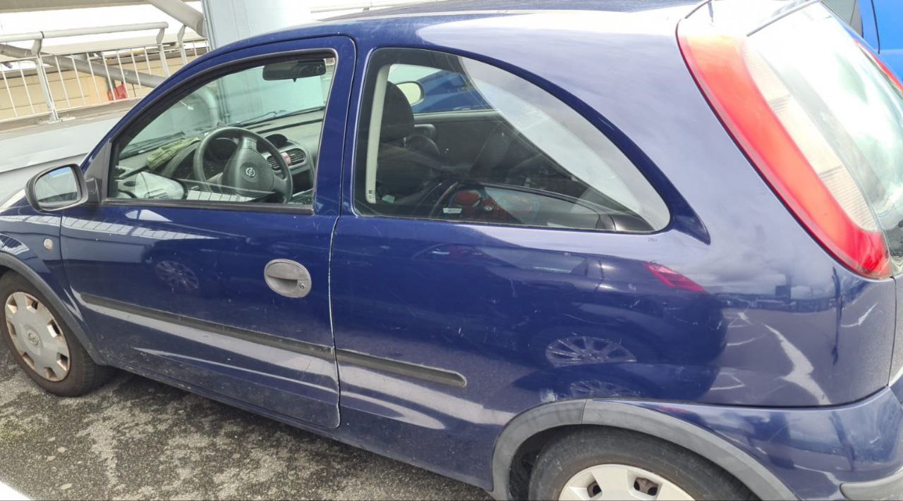 Non si lasciano i cani in macchina: l'ennesimo episodio nel parcheggio degli Orsi FOTO