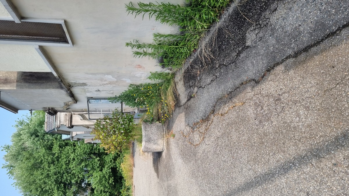 Erba alta e degrado nei pressi del cimitero di Vaglio: la segnalazione di un cittadino FOTO