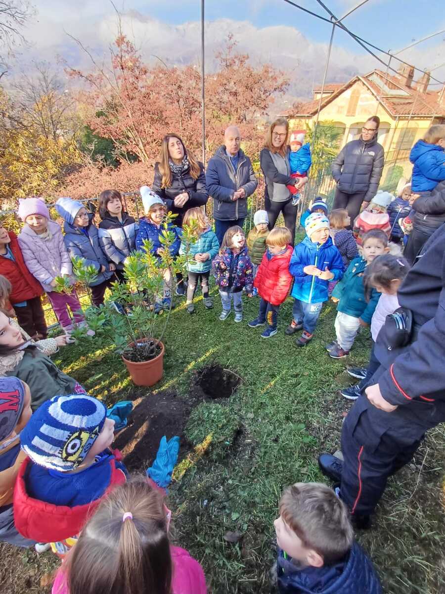 Graglia, alla scuola materna piantato un corbezzolo per la Festa dell’Albero