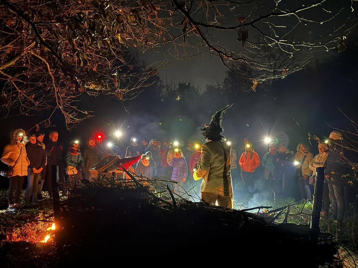 Alla scoperta delle valli biellesi con la camminata magica nel "Bosco di Luci" del Macchie FOTO e VIDEO