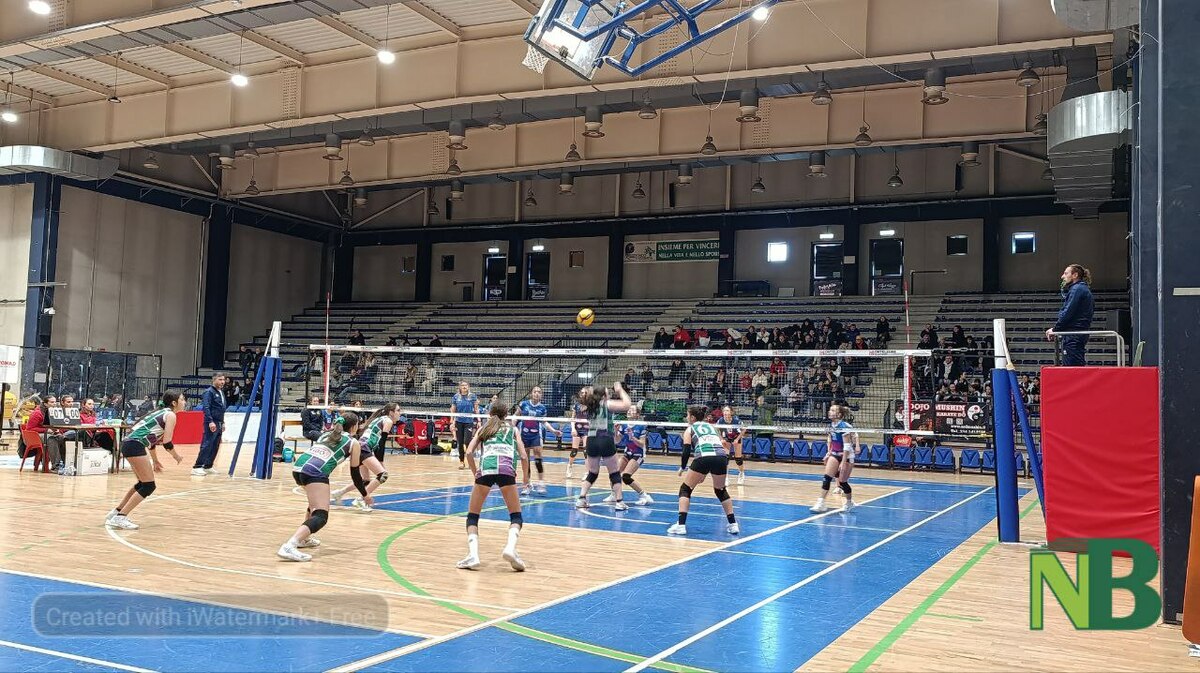 Seconda giornata del Bear Wool Volley 2026, i risultati in attesa della grande giornata di oggi FOTO