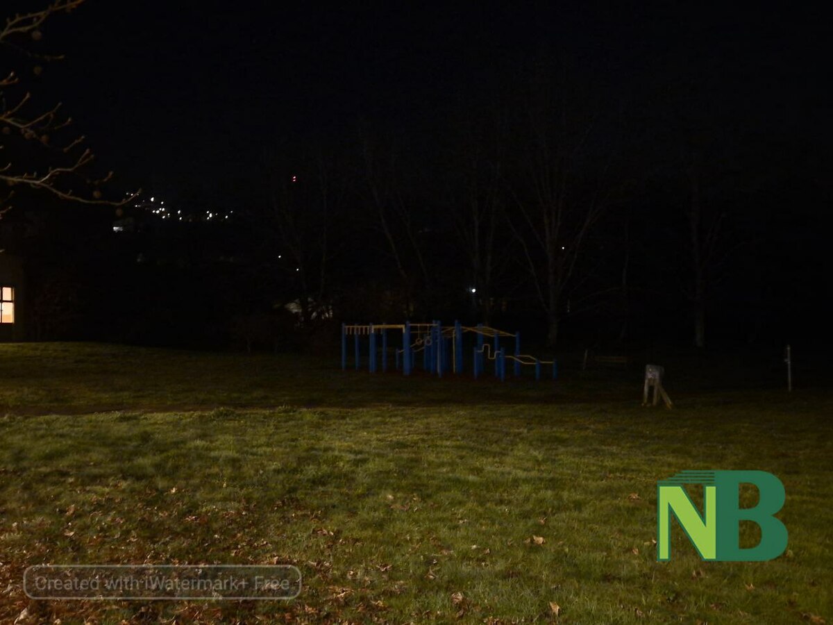 Biella, al buio giardini Arequipa e parco Regione Croce. Il Comune: "Al lavoro per la risoluzione" FOTO