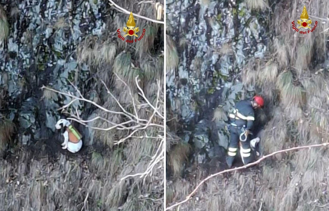 Dal Nord Ovest - Cane bloccato in un canalone sull’Alpe Morissolo, salvato