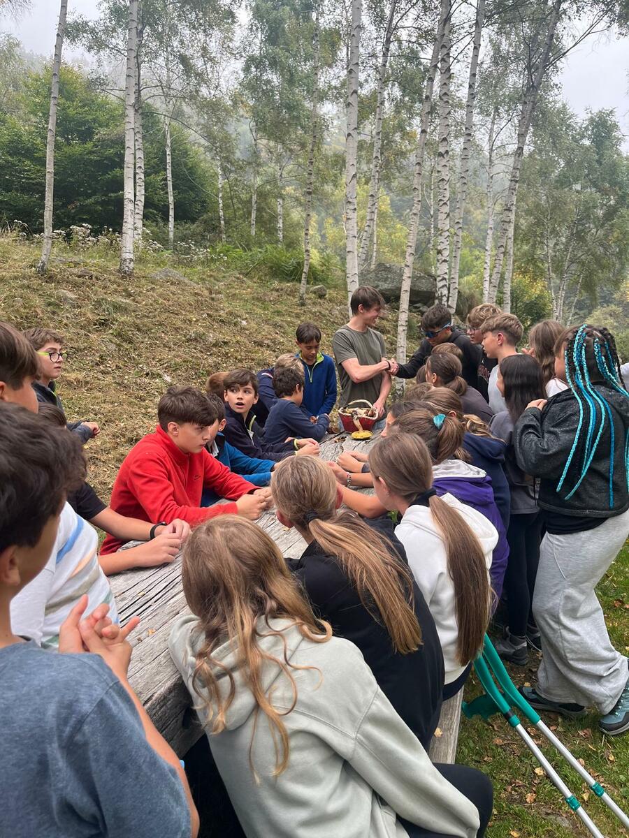 Gruppo Micologico Biellese, nuovo direttivo ed eventi FOTO