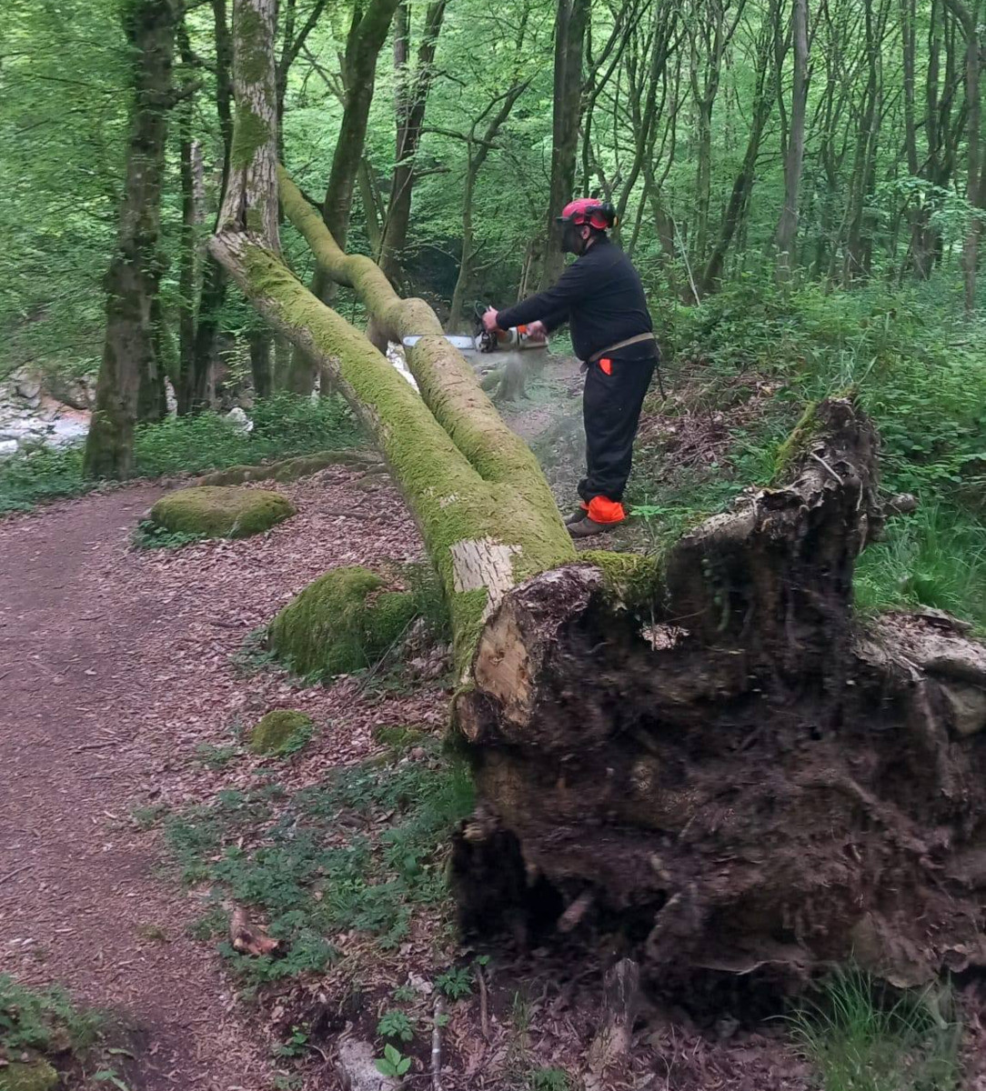 Gorgomoro, sentiero di nuovo accessibile dopo l’intervento dei volontari AIB Biella Orso FOTO