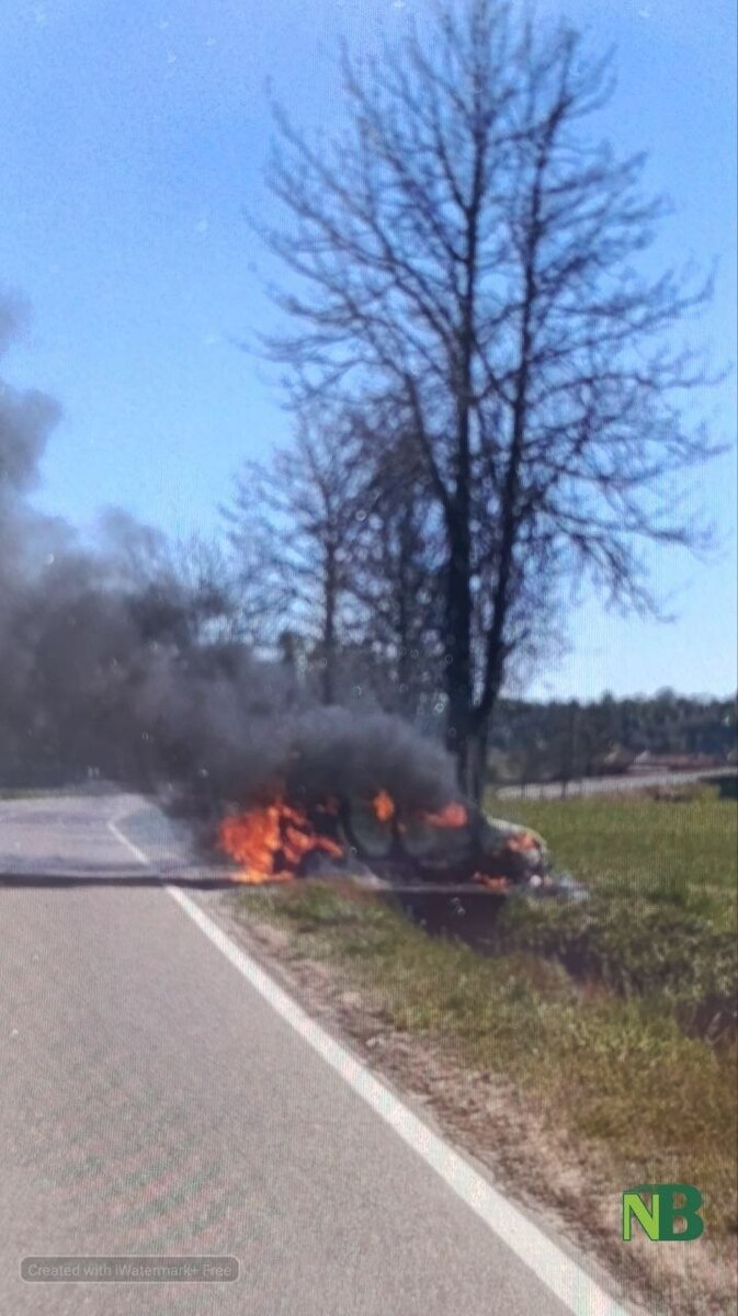 Furgone avvolto dalle fiamme, attimi di paura a Cerreto Castello FOTO