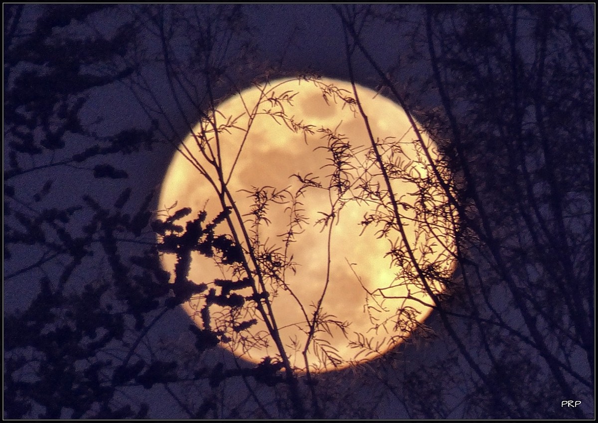 Luna Rosa nei cieli di Biella, gli scatti di Paolo Rosazza Pela