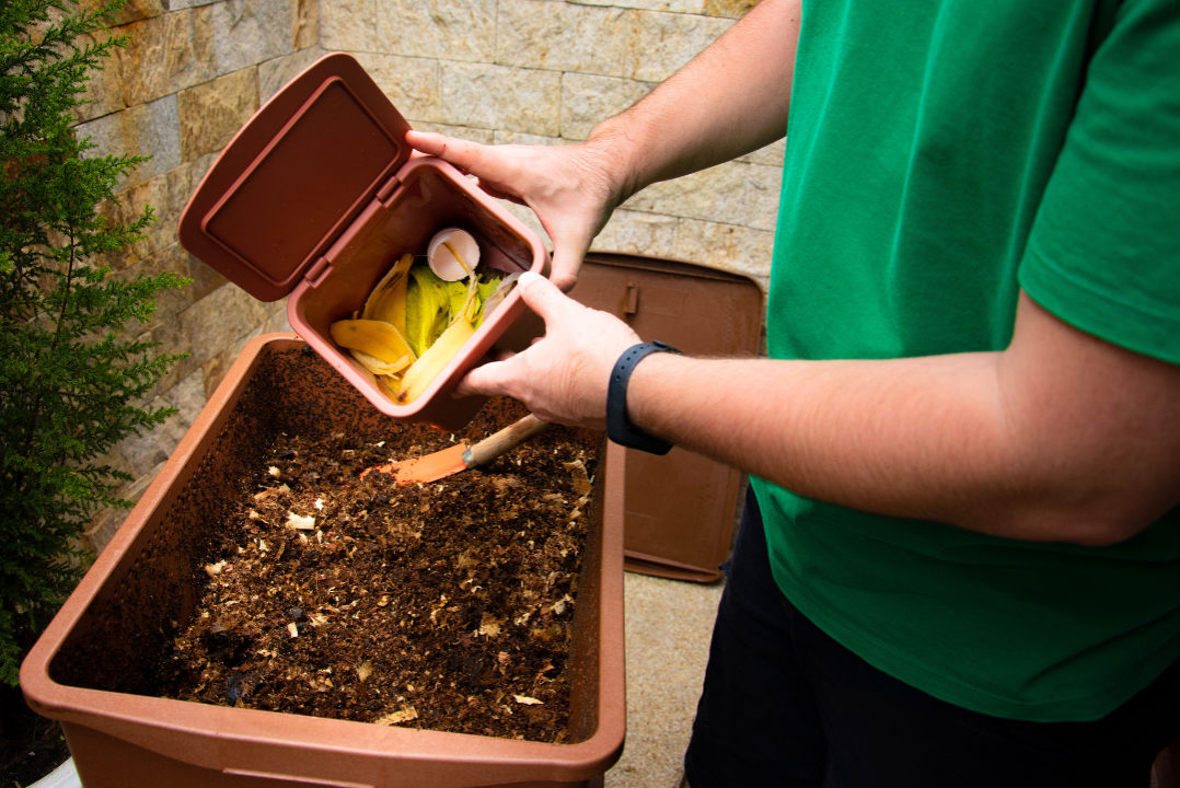 Mottalciata, corso gratuito sul compostaggio domestico