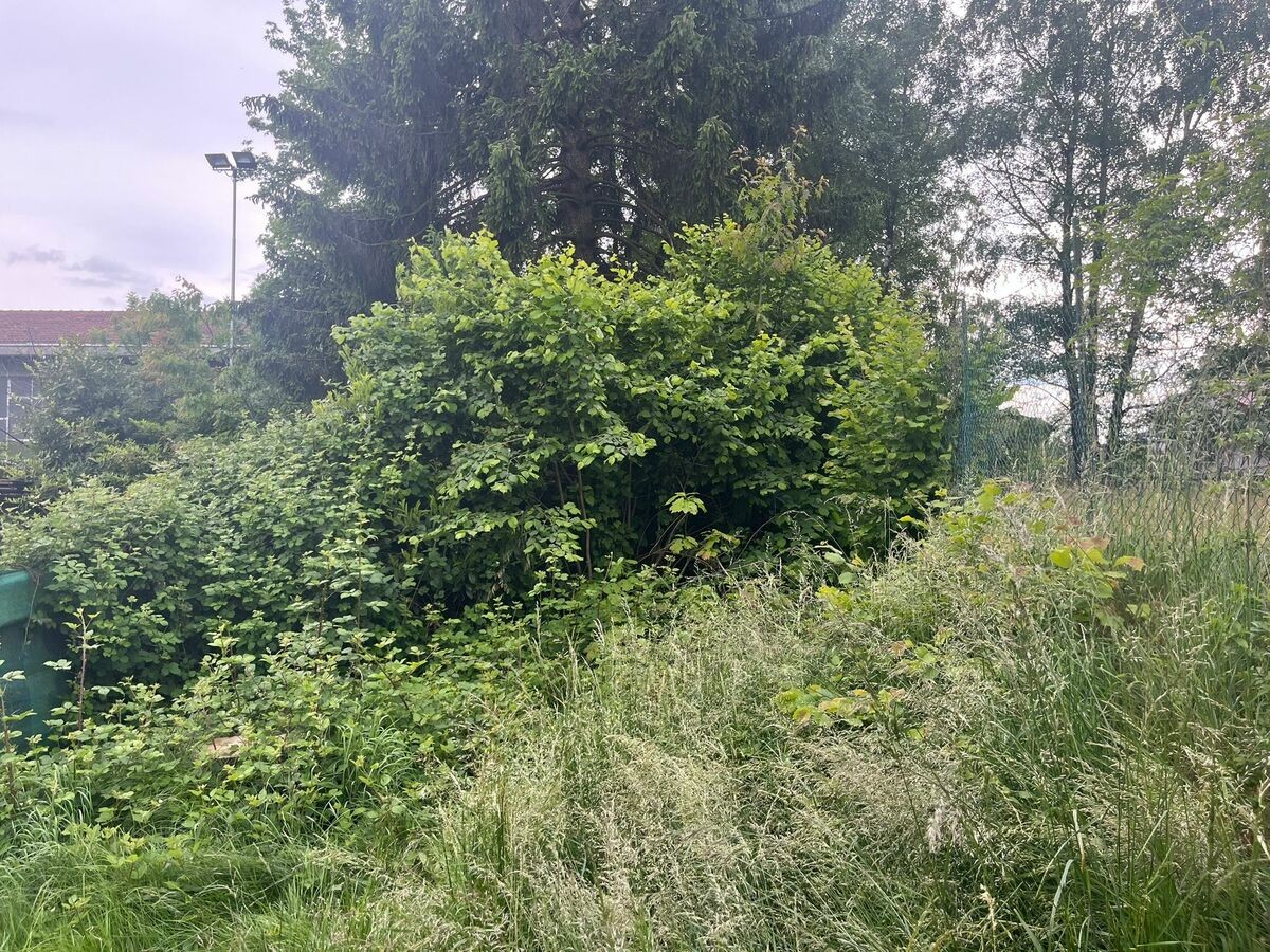 Pavignano chiede interventi: “Quartiere di serie B? Servono maggiore attenzione” FOTO