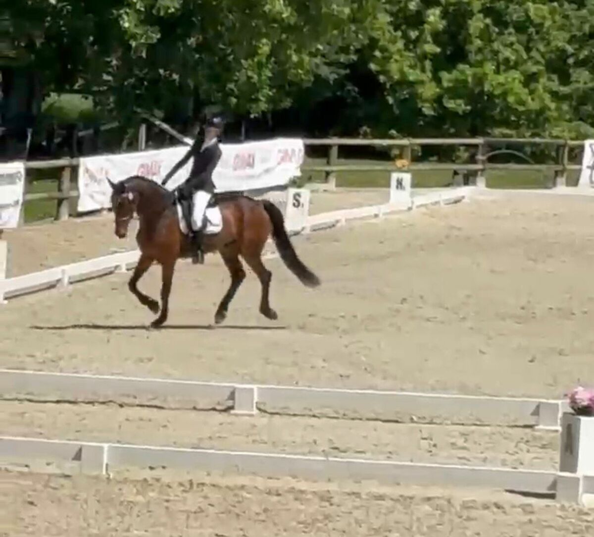 Equitazione, ottimi risultati per Allegra Perona a Tortona