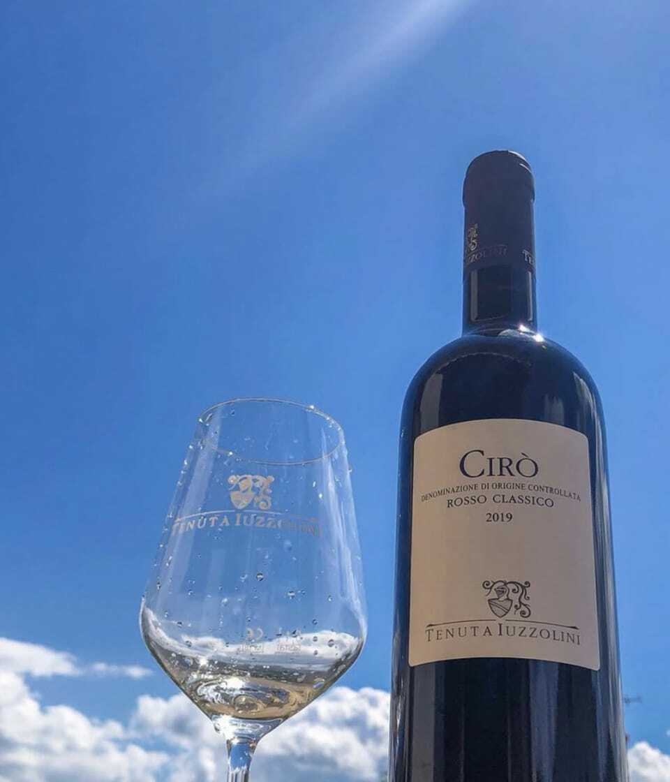 Vini di Primavera con Jorioz, a Villa Mossa un pomeriggio dedicato alle eccellenze FOTO