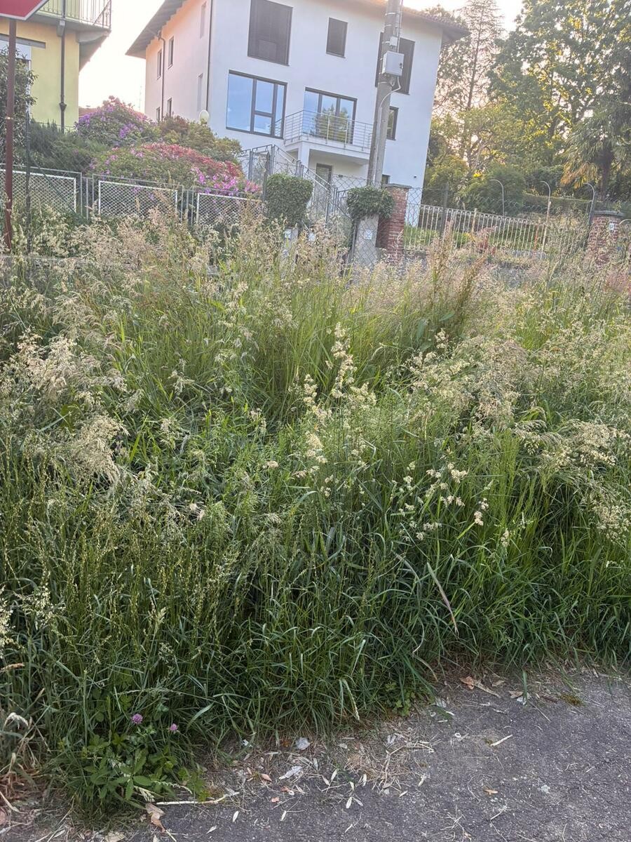 Parco Robinson a Cossila nel degrado: erba alta e giochi rotti FOTO