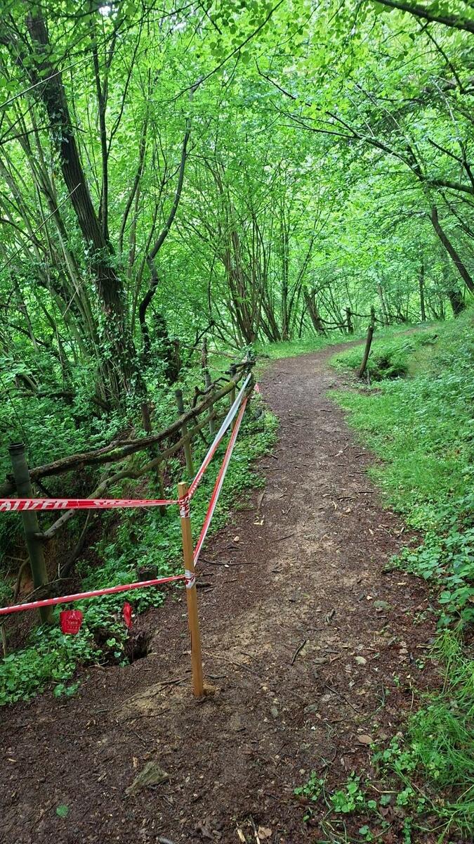 Trail della Diga, sfida tra sentieri e natura: oltre 250 iscritti FOTO