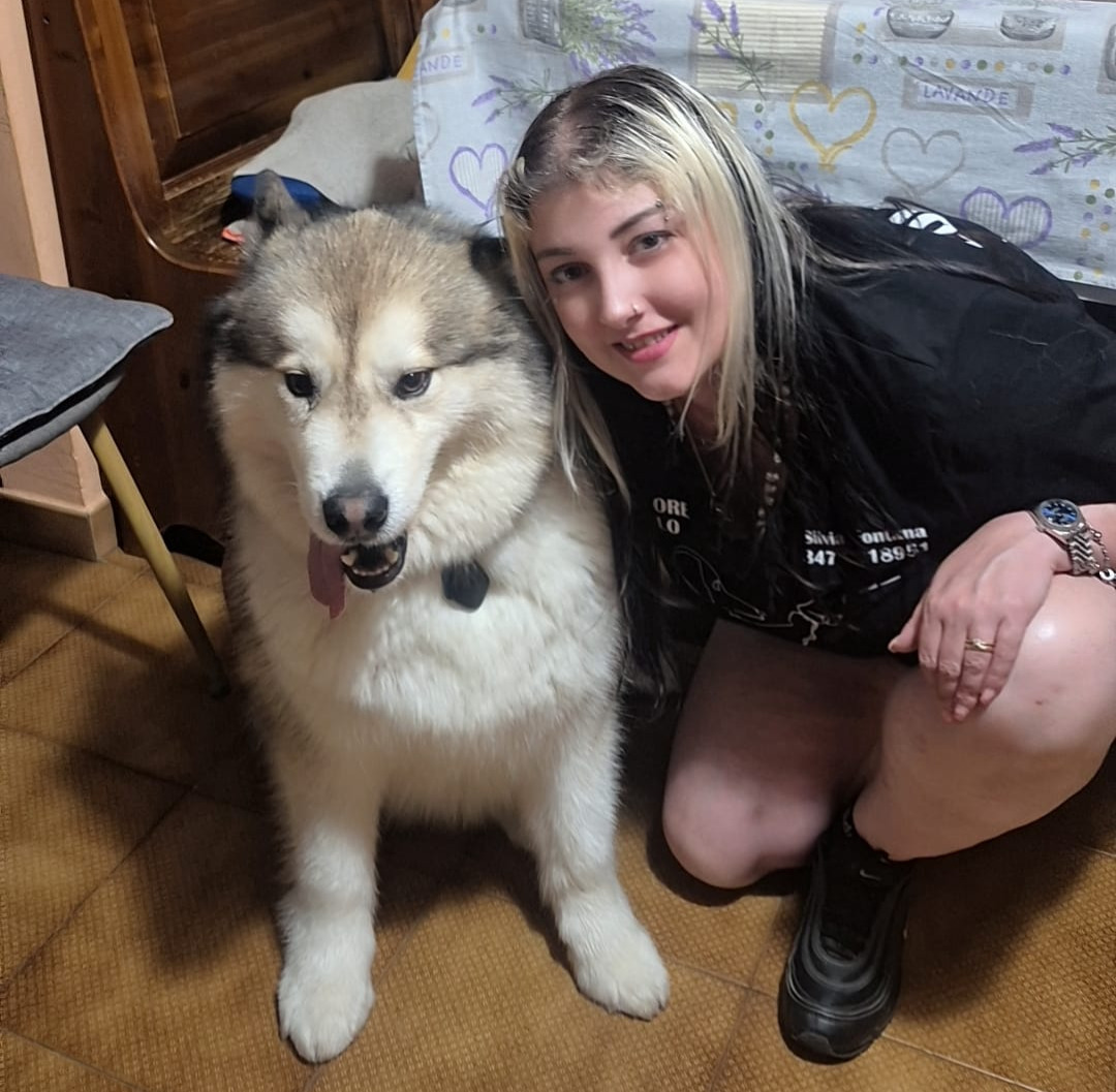 Pecora ferita in un dirupo, il cane di un’educatrice la veglia nei boschi di Lessona e Masserano fino all’arrivo dei soccorsi