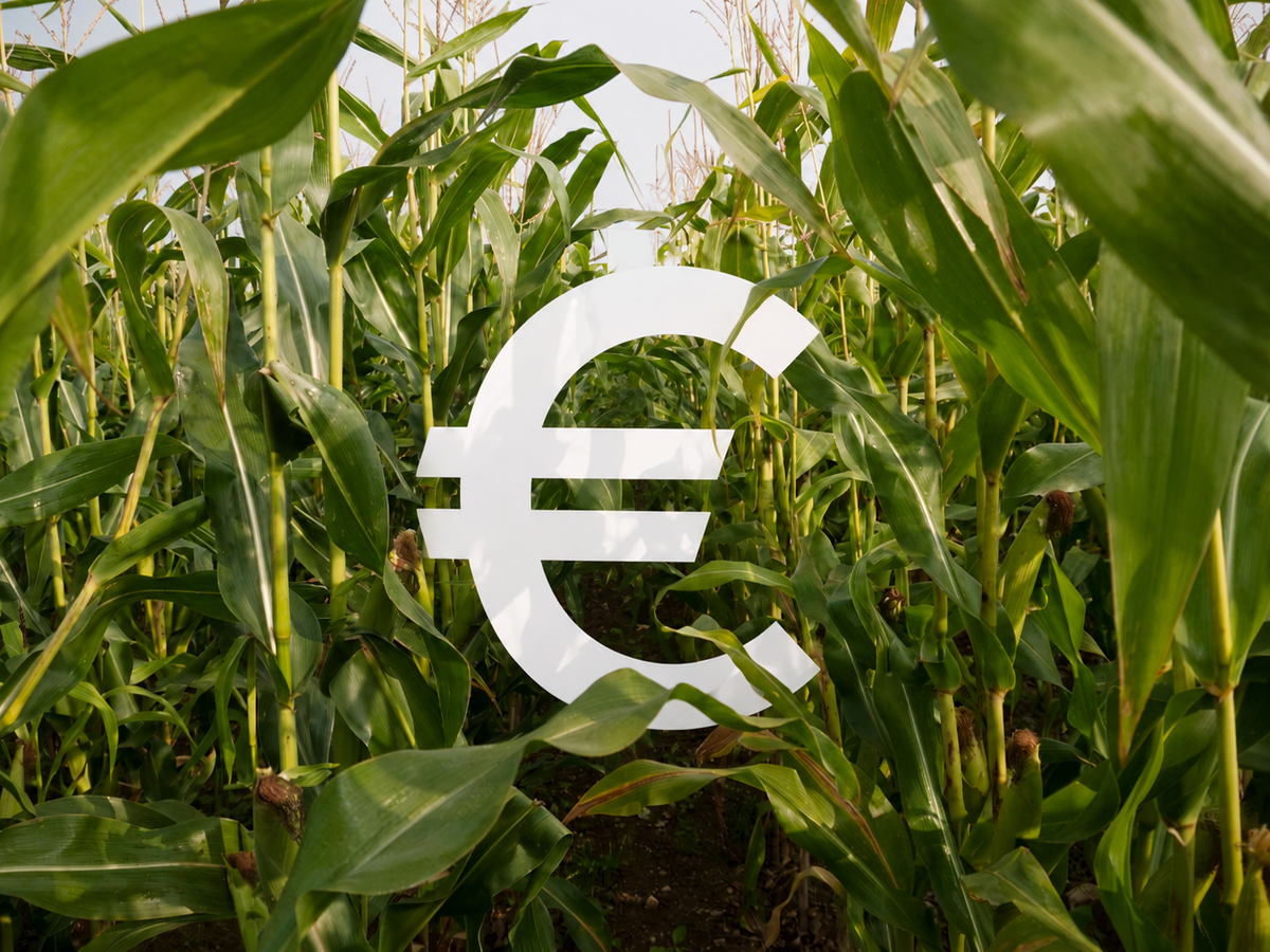 Pagamenti Pac, il Piemonte accelera: erogati 336 milioni agli agricoltori