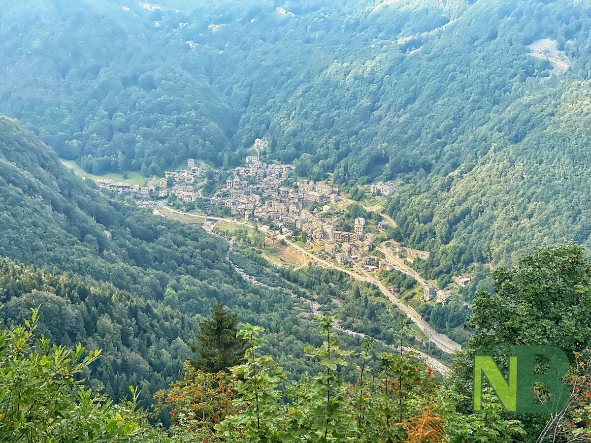 Uncem Piemonte, censito il patrimonio forestale: 970mila ettari