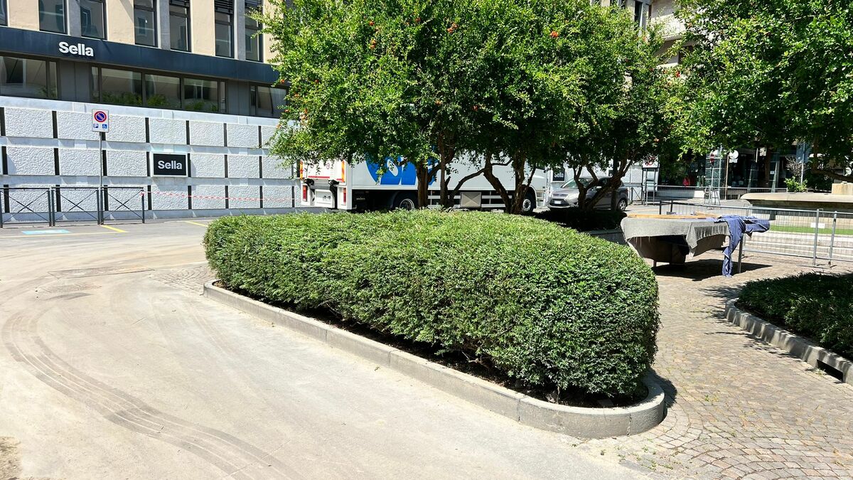 Verde pubblico in città, Castagnetti: "Chiedo ancora un po' di pazienza, il lavoro da recuperare è molto" FOTO