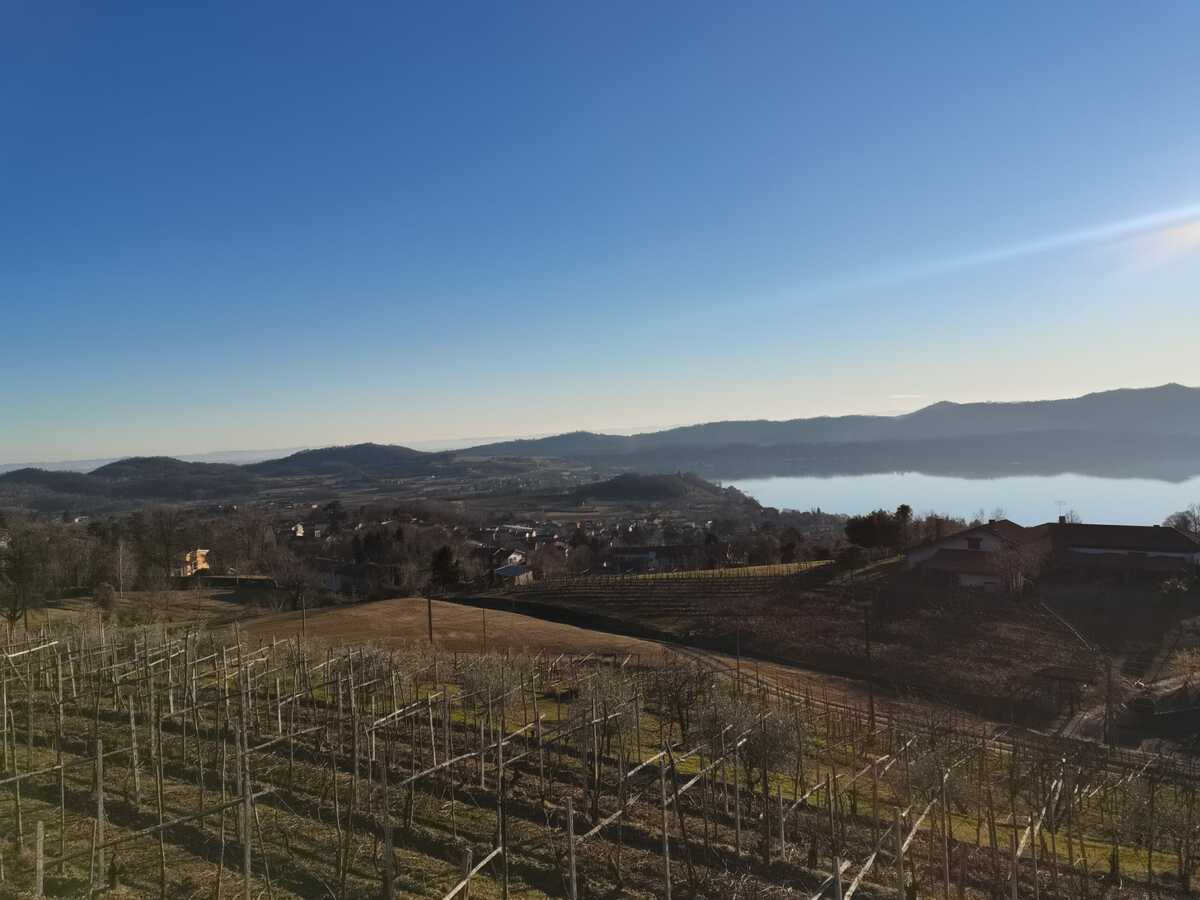 In cammino verso l'inclusione, conto alla rovescia per la passeggiata benefica di Viverone