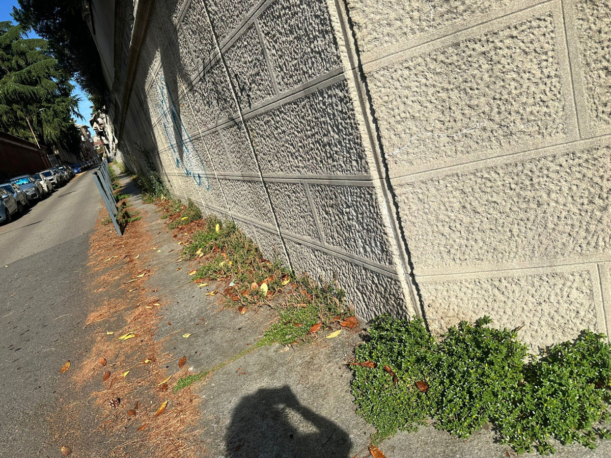 Biella, cresce il degrado in città: "Marciapiedi impraticabili e incuria da mesi" FOTO