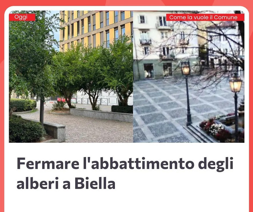 A Biella una raccolta firme per fermare l'abbattimento di alberi