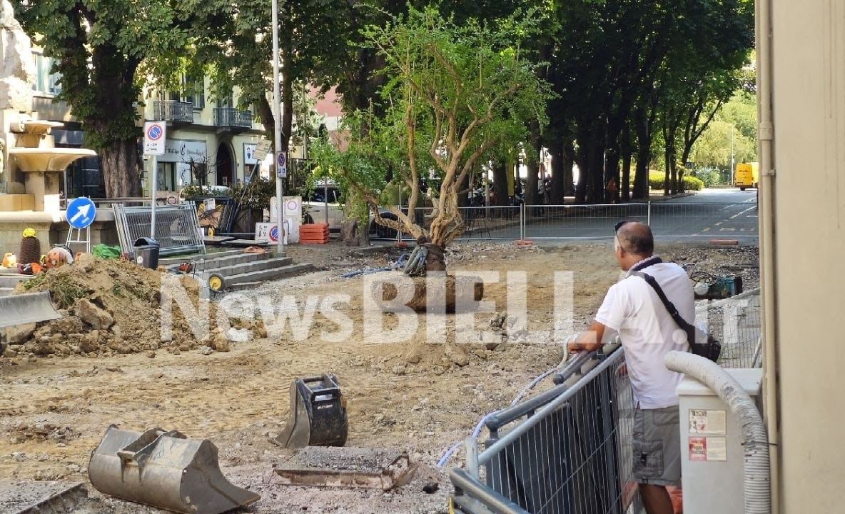 Biella, al via il trasferimento dei melograni: proteste e presidio alla Fons Vitae: “Difendiamo il verde pubblico”