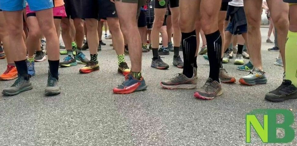 Tra le vigne e sentieri di Lessona, al via la camminata da 7 km