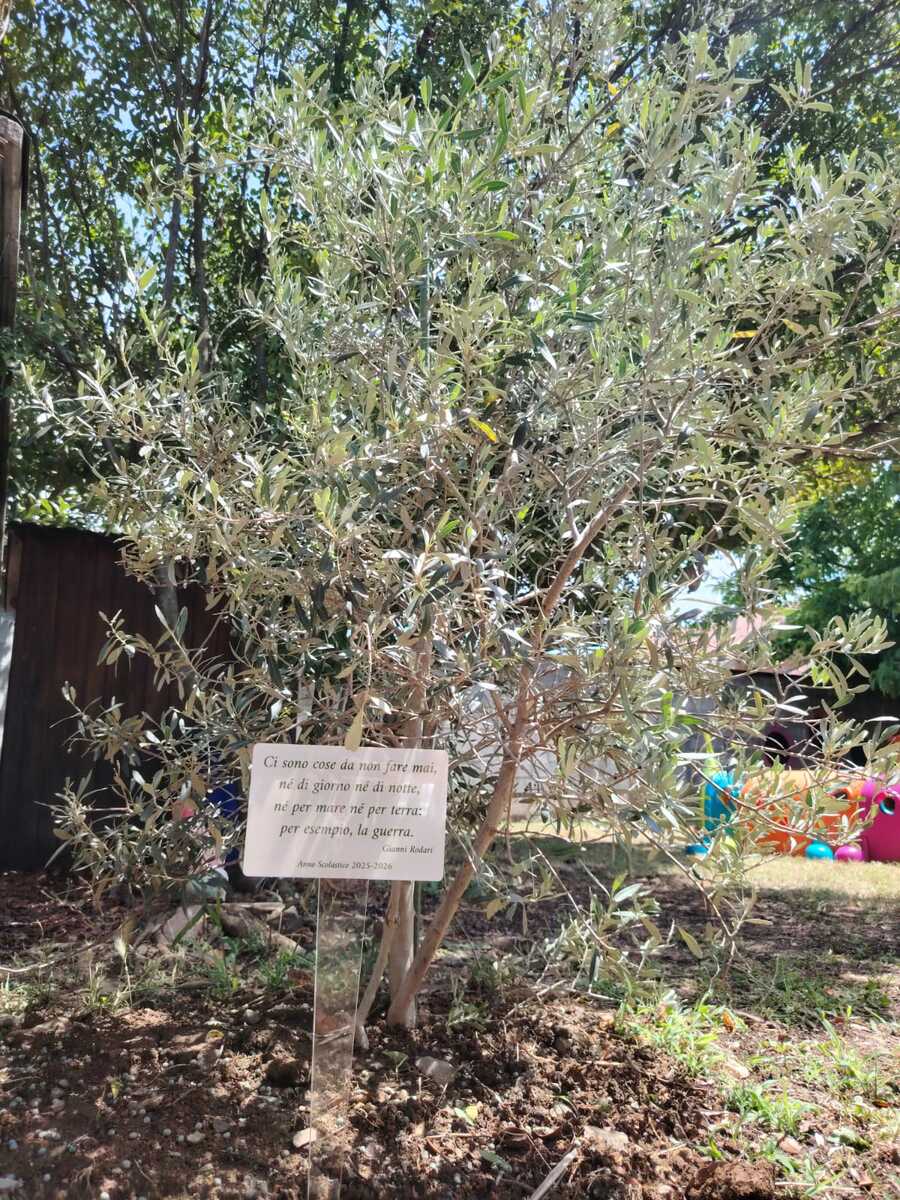 Cerrione, un messaggio di pace dai bimbi dell’infanzia