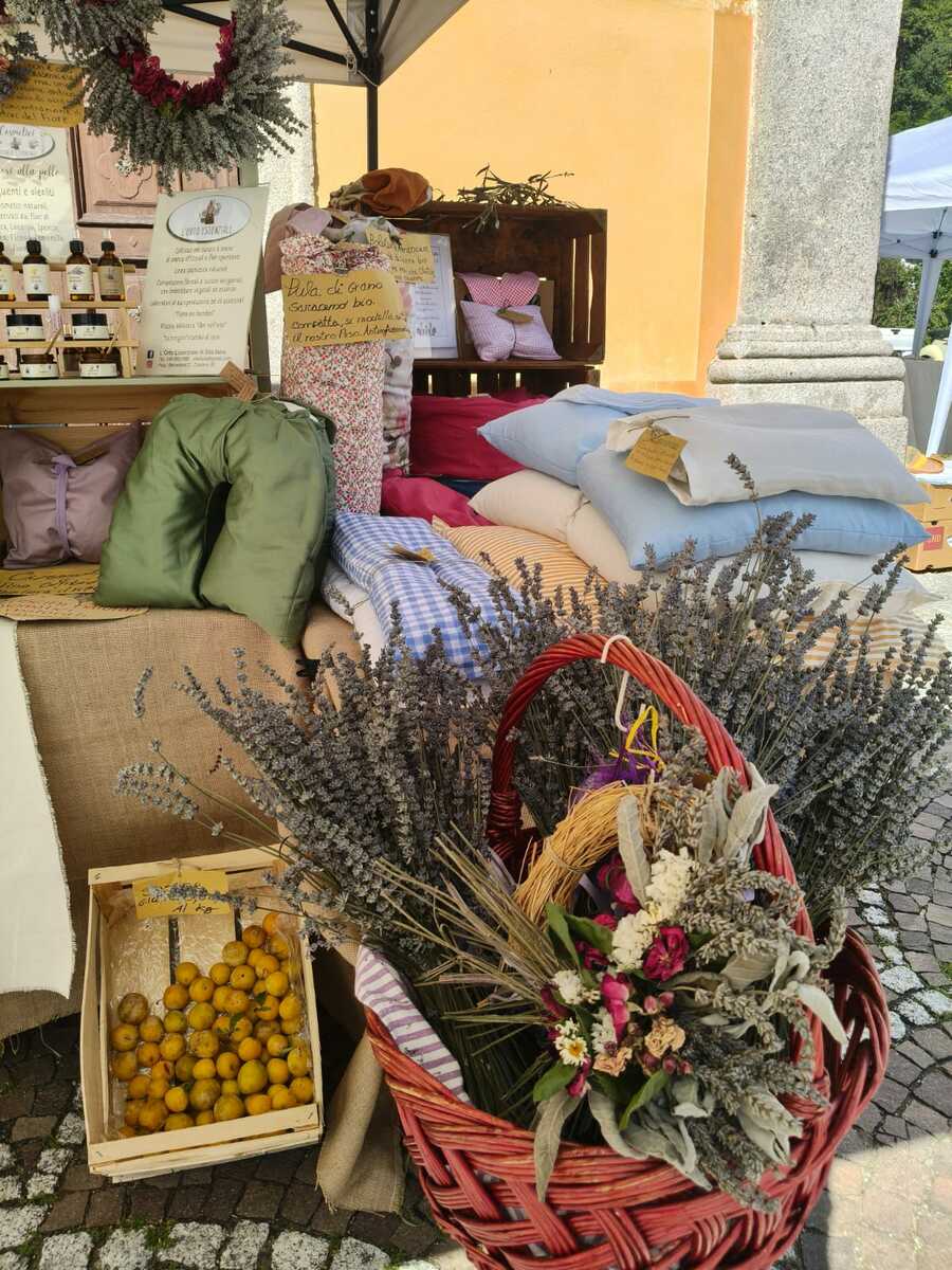 Bancarelle, musei e passeggiate: il Mercatino delle Siunere richiama visitatori a Campiglia Cervo FOTO