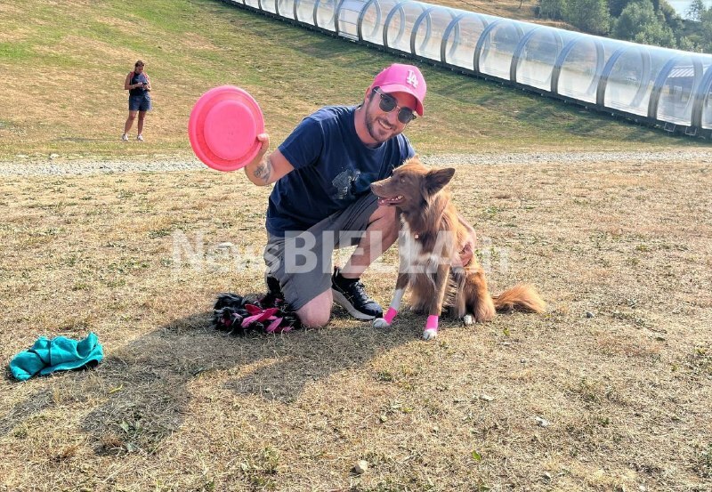 Velocità e intesa con il proprio cane: a Bielmonte va in scena il Campionato Nazionale di Disc Dog FOTO e VIDEO