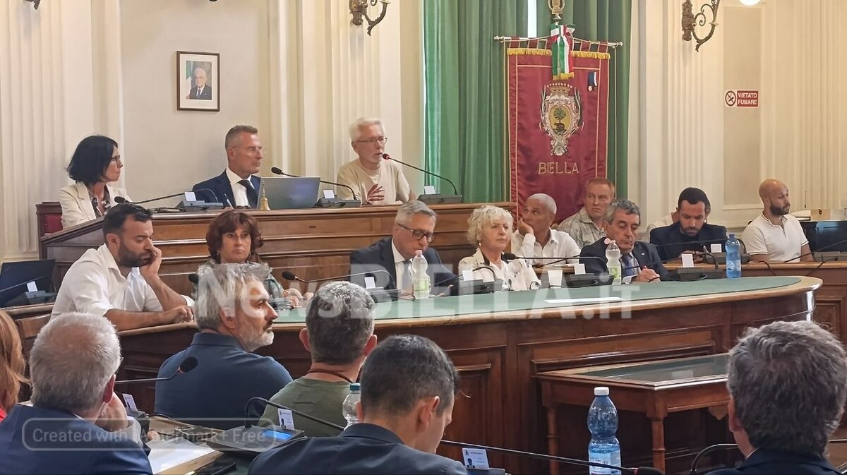 Mercato, le categorie chiedono dati e concretezza: "Prima le analisi, poi le decisioni" VIDEO