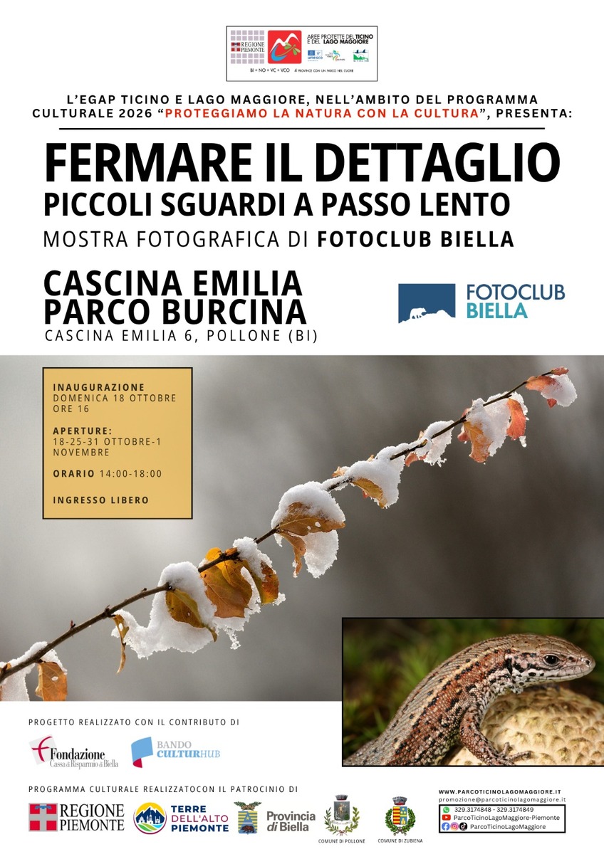 Fermare il dettaglio – Piccoli sguardi a passo lento, un nuova mostra al Parco della Burcina