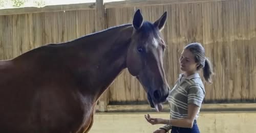L'incidente mortale di Carola Dettoma lascia sgomenti. Si attende di sapere se la magistratura disporrà l'autopsia