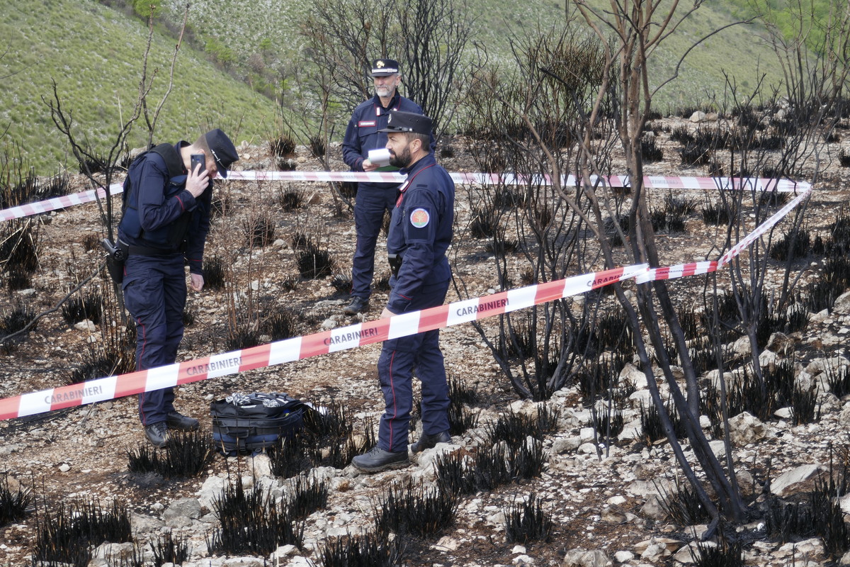 Carabinieri Forestali in campo per la Campagna Antincendio Boschivo 2026