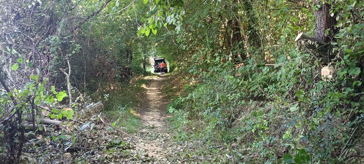 Aula Verde, AIB Biella Orso in campo per lo sgombero di piante cadute