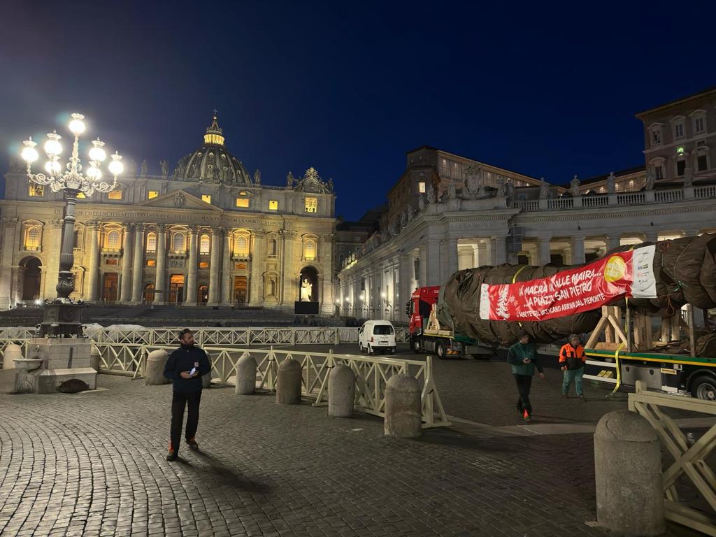 Piemonte Rome Domani l'accensione dell'albero a Roma donato dal Piemonte a Papa ...