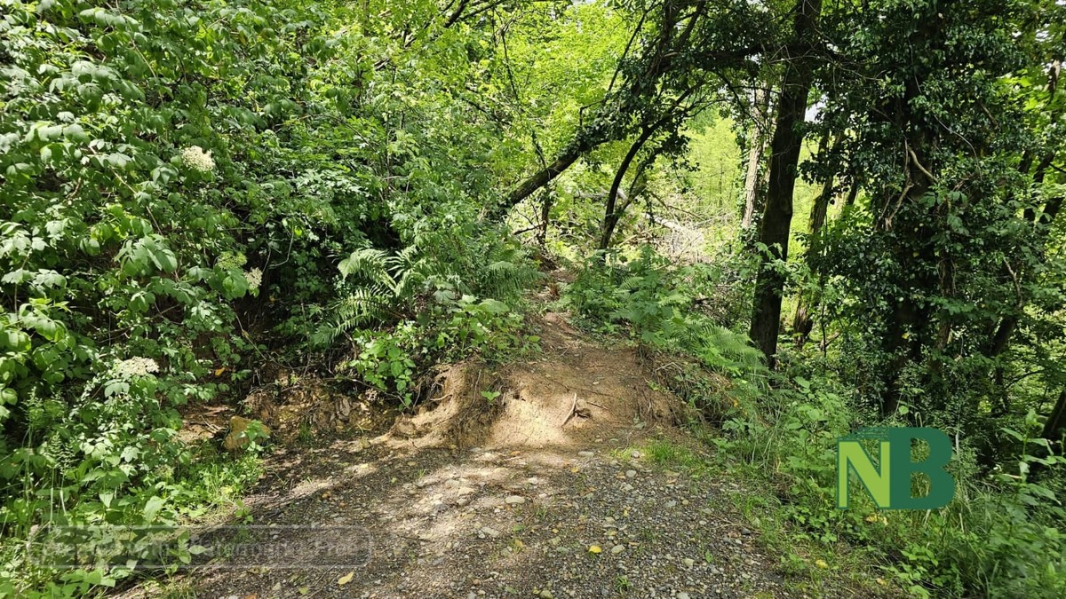 Biella: Strada della Bertamelina nuovamente franata FOTO e VIDEO