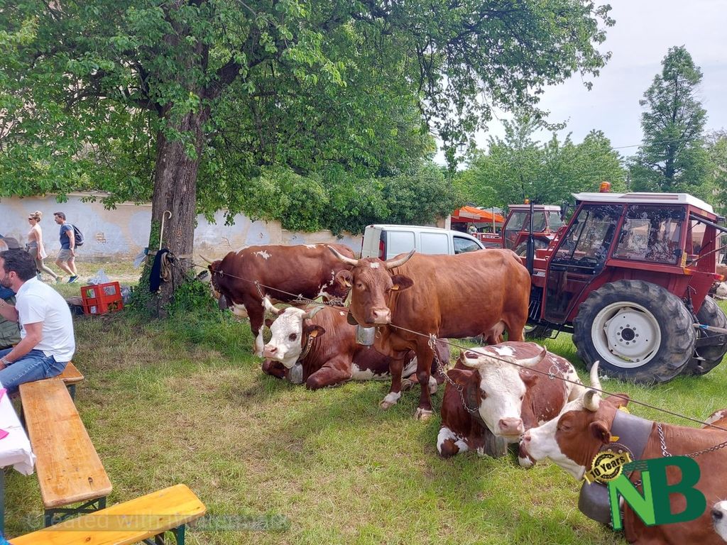 Tre giorni di festa a Graglia per la Fiera Primaverile di Maggio