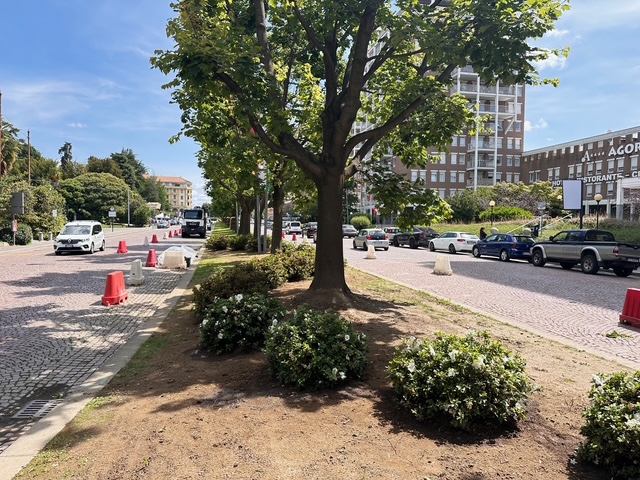 Biella: Riprendono i lavori di completamento di via Lamarmora