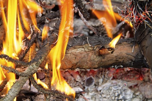 Sterpaglie a fuoco a Cossato, intervento dei Vigili del Fuoco