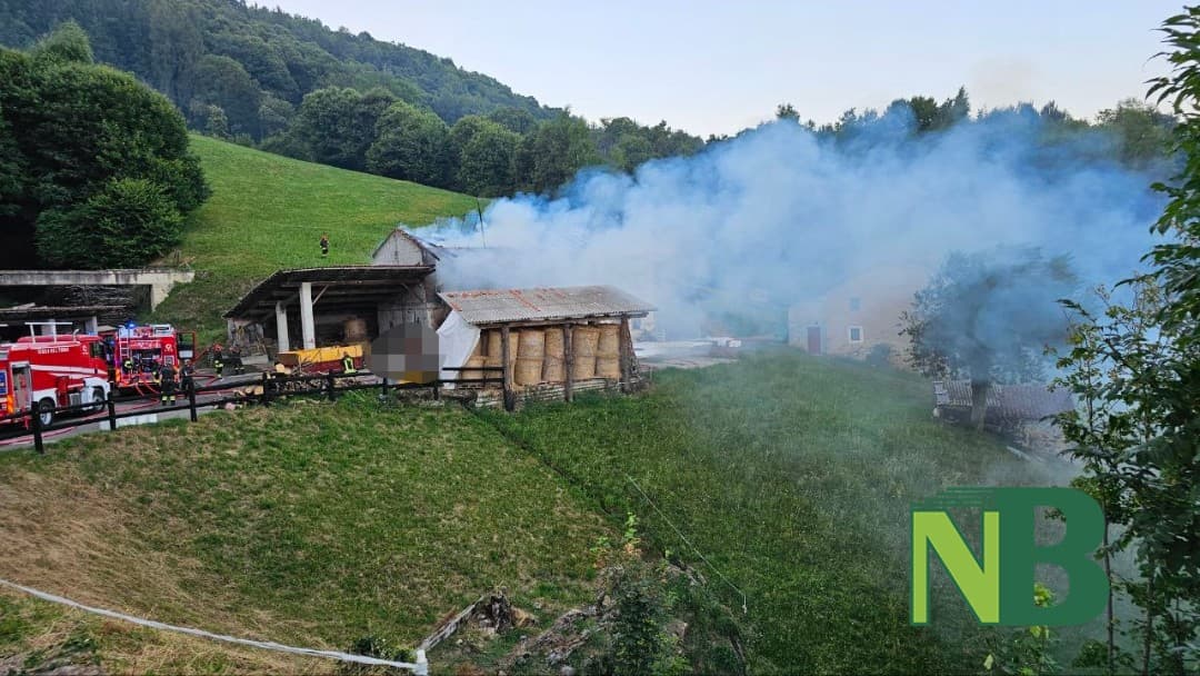 Fienile in fiamme, attimi di paura in Valle Elvo: salvato un vitellino dai Vigili del Fuoco FOTO e VIDEO