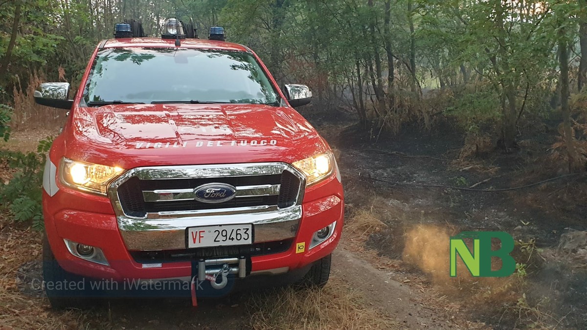 Vigili del Fuoco a Pollone per l’incendio di un sottobosco