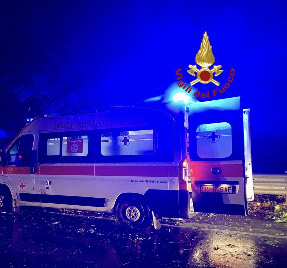 Pianta cade al suolo sulla SP400 e causa incidente stradale: c'è un ferito