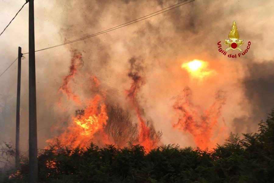 Post-incendi, ecco il dossier Uncem e i 10 punti per ripartire dal bosco. Bussone: "Serve 1 miliardo di euro per le foreste" - Newsbiella.it - Vimarsana News