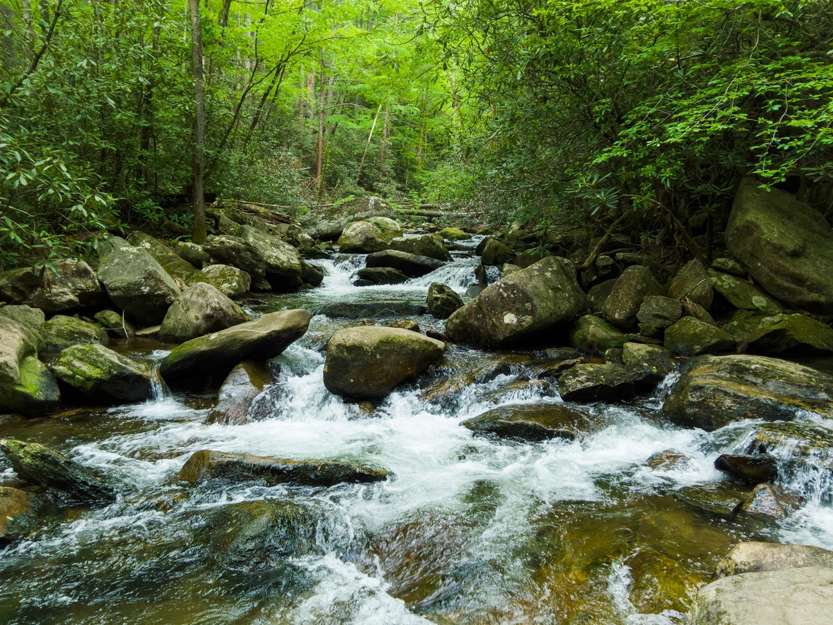 Caldo nel Biellese, ecco le 5 mete “fresche” tra natura, valli e torrenti