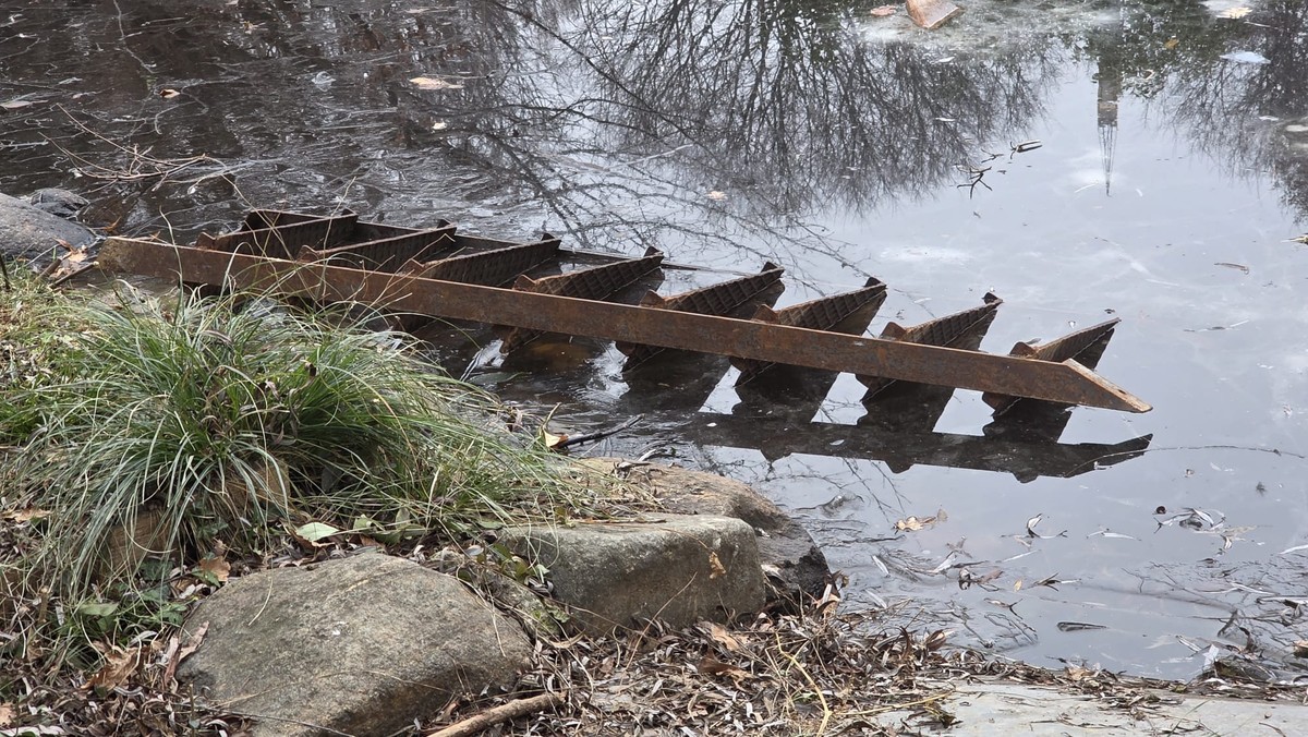 Biella, aggressione al laghetto di via Friuli: anziani accerchiati e colpiti da un gruppo di minorenni. I residenti chiedono più sicurezza