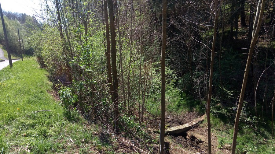 Tollegno, interventi lungo il Rio Germanetti per la sicurezza idraulica