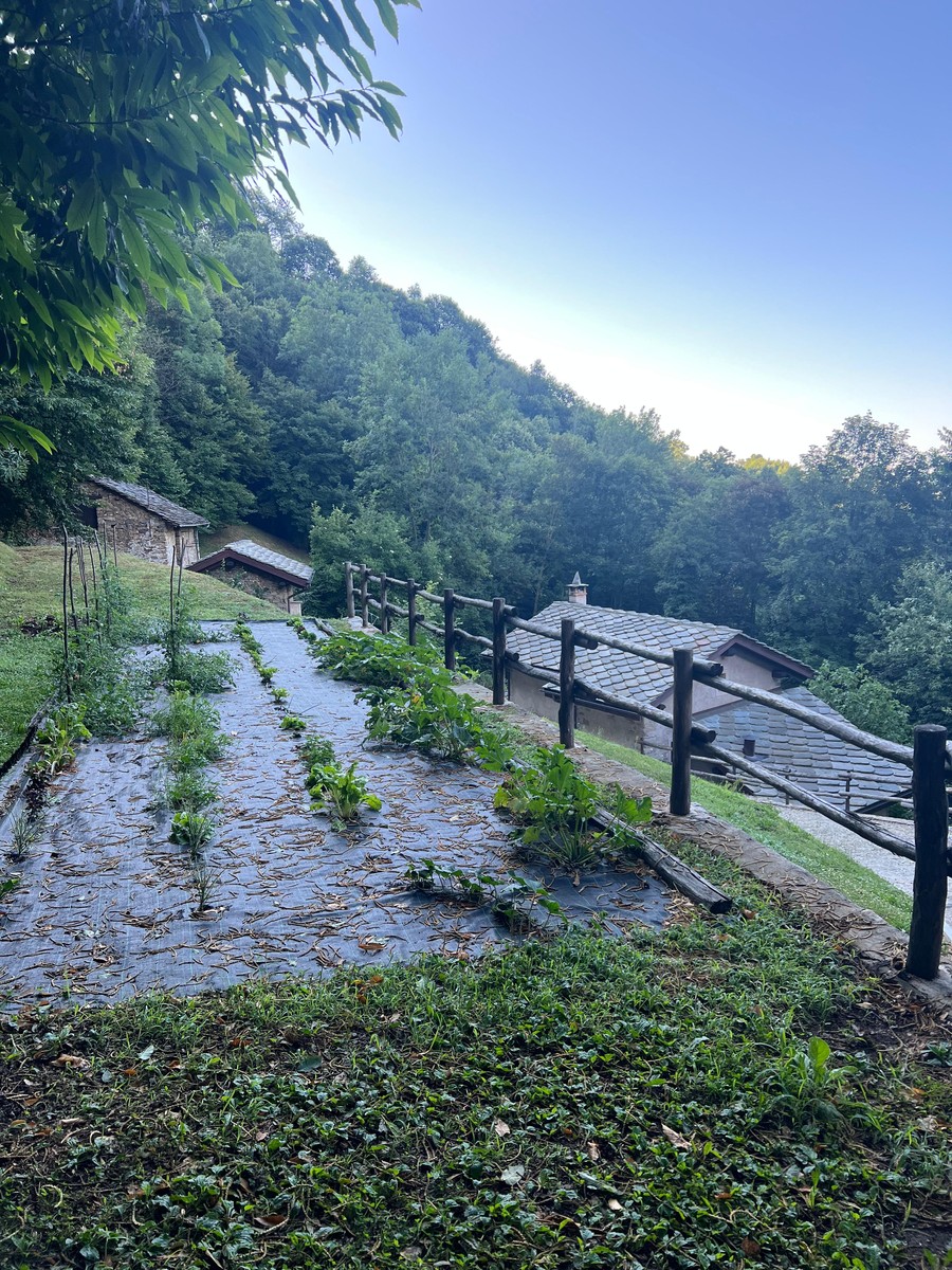 Sordevolo, al Rifugio nel Bosco di Alice l'estate è un vero piacere FOTO e VIDEO