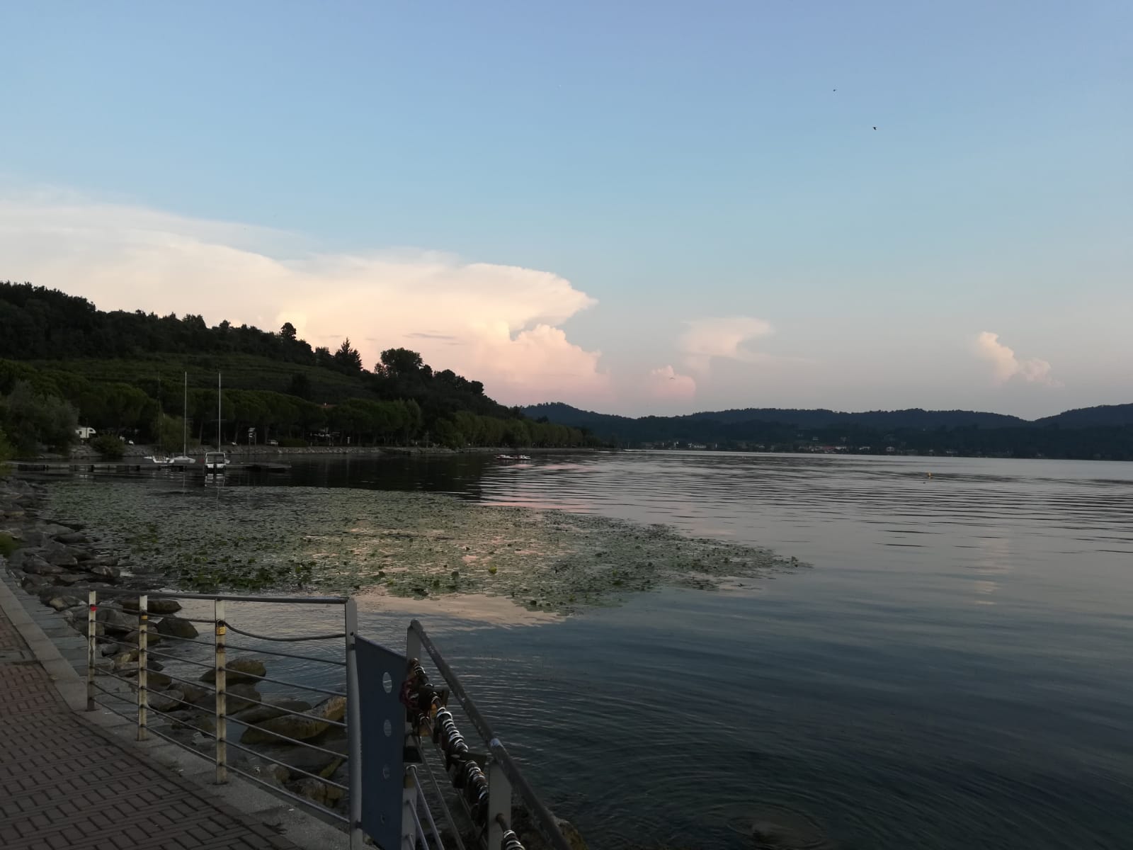 A Viverone il Campionato Italiano di Nuoto Pinnato in Acque Libere